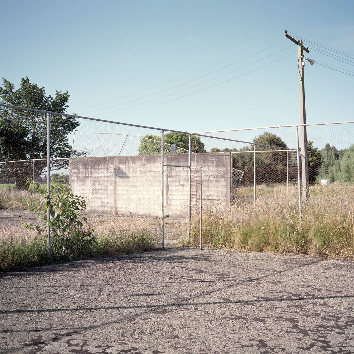 Ngarua, 2016. Shot on Kodak Portra 160 with a Mamiya 6.