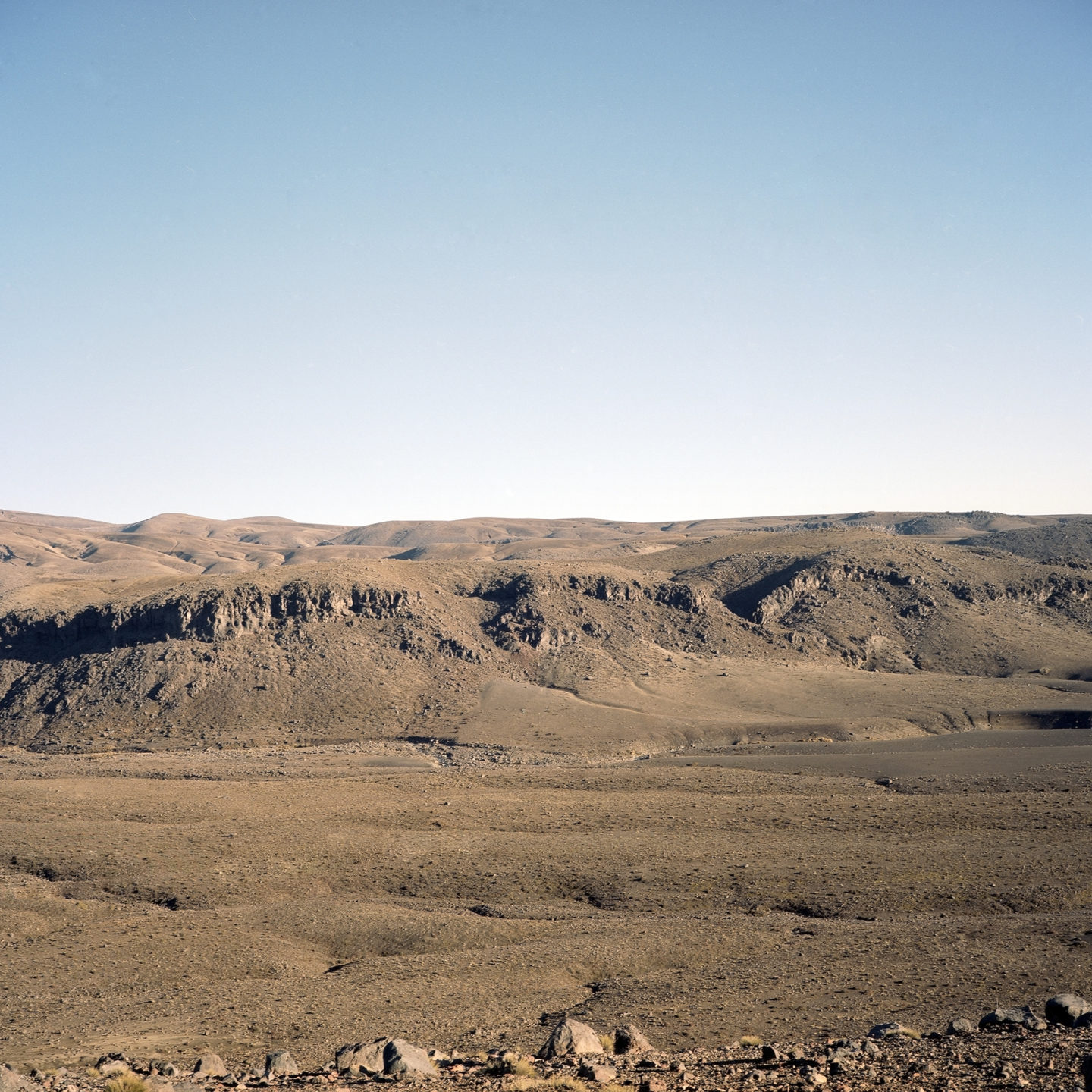 Tukino, 2017. Shot on Kodak Portra 400 with a Mamiya 6.